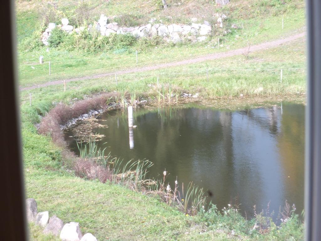 Dwor Klewiny Villa Екстериор снимка
